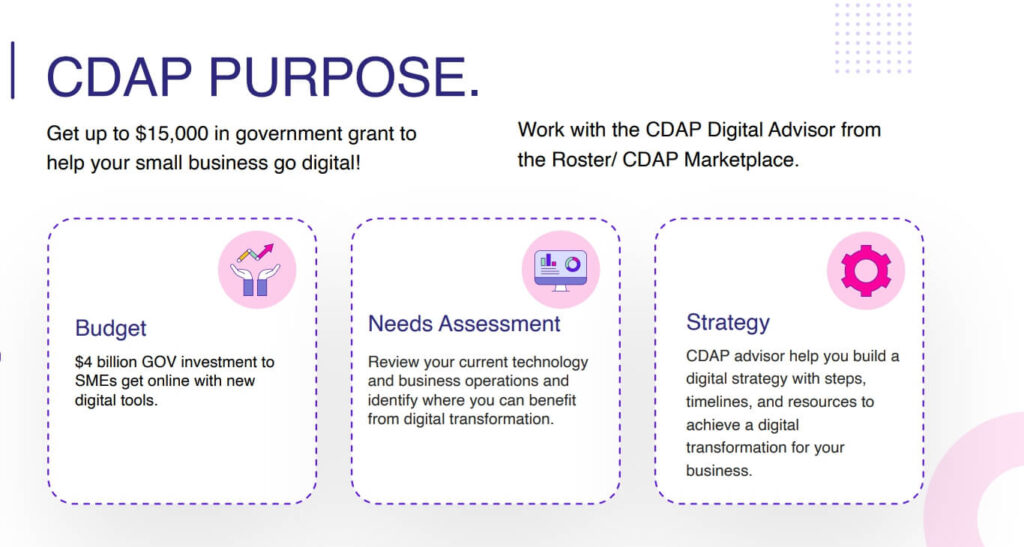 Understanding the cdap grant